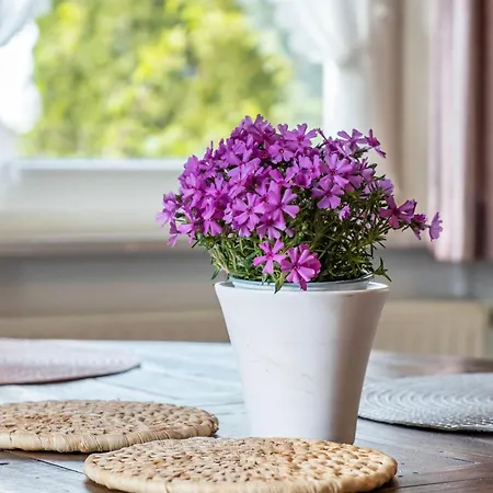 Appartement Hirschenhaeusle *